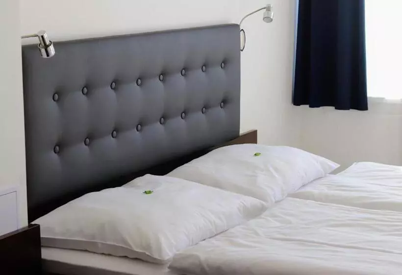 Fotos del hotel Tj Chodov:  13