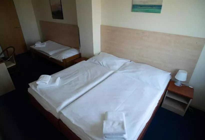 Fotos del hotel Tj Chodov:  15