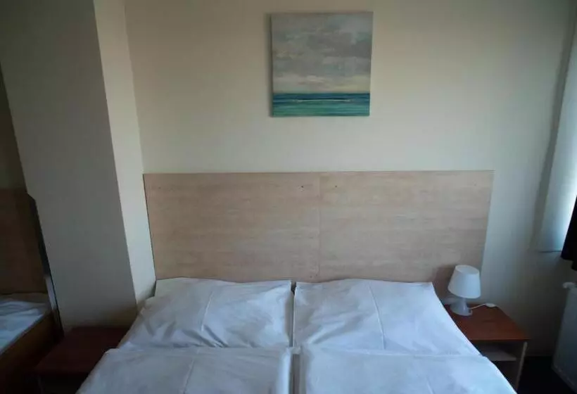 Fotos del hotel Tj Chodov:  19