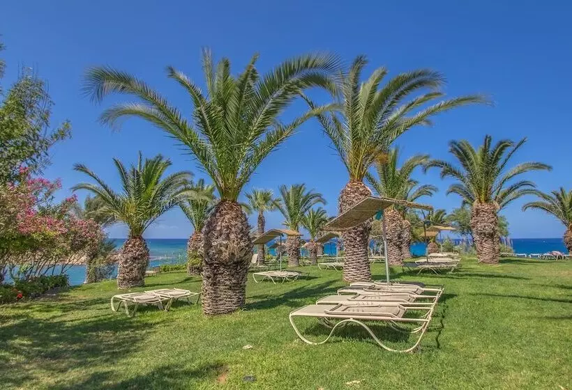 Fotos del hotel Crystal Springs Beach:  20