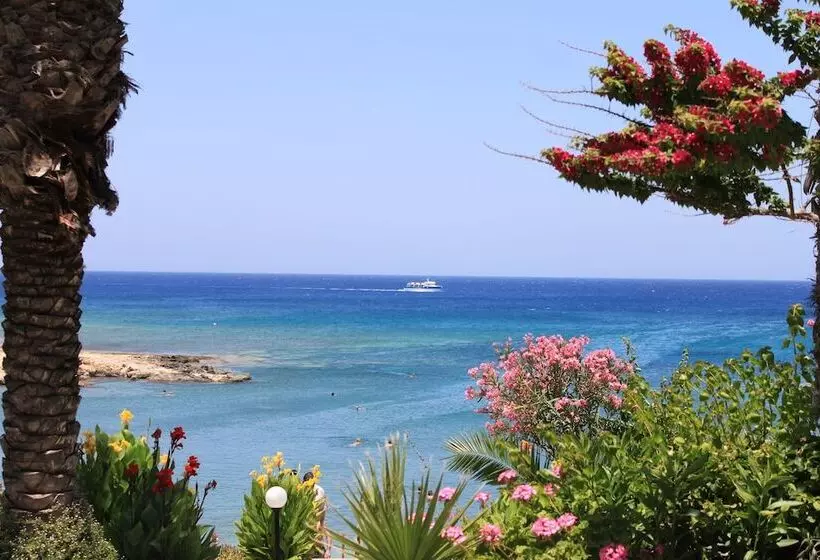 Fotos del hotel Crystal Springs Beach:  14