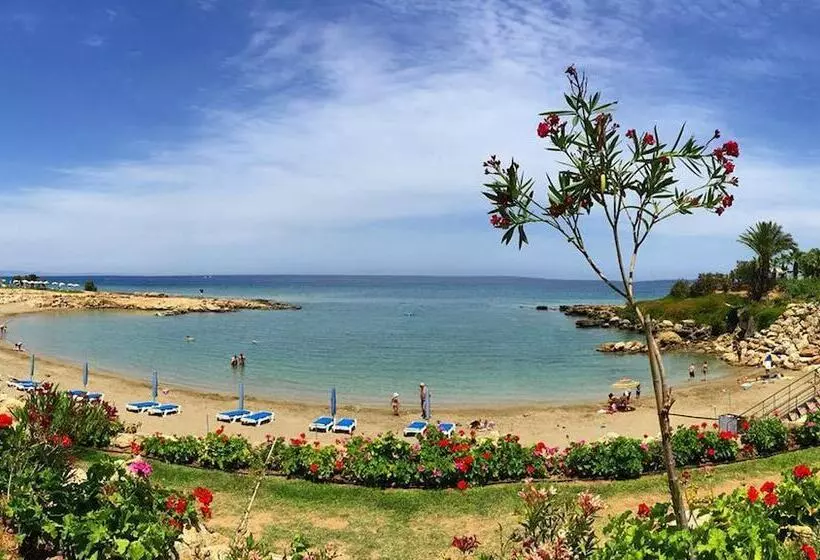 Fotos del hotel Crystal Springs Beach:  8