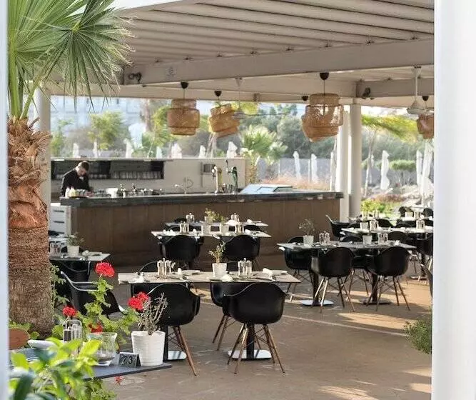 Fotos del hotel Crystal Springs Beach:  13