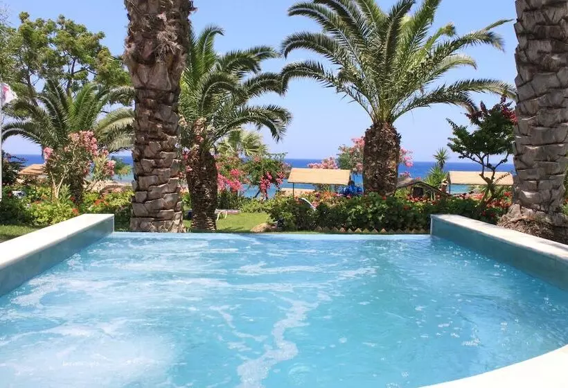 Fotos del hotel Crystal Springs Beach:  9