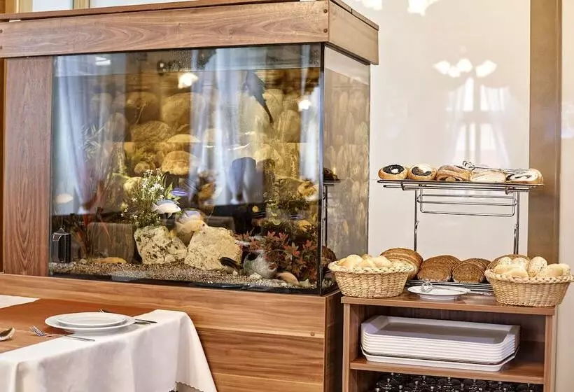 Fotos del hotel Sirius:  19