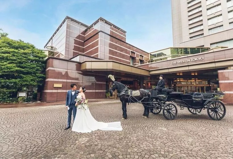 Fotos del hotel The Westin Tokyo:  10