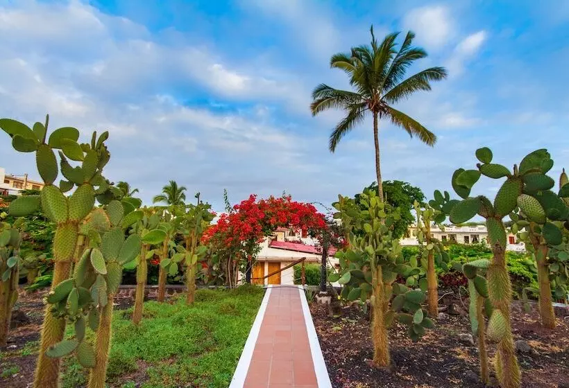 Fotos del hotel Fiesta:  5