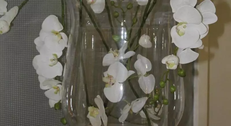 Fotos del hotel Windsor:  9