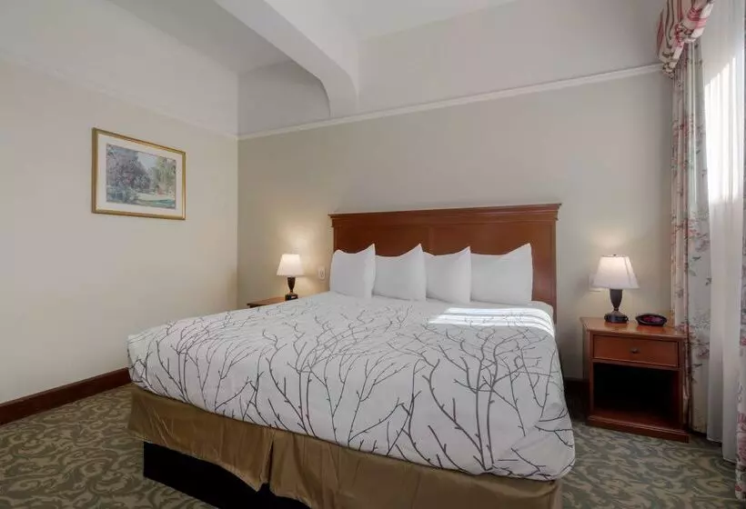 Fotos del hotel Best Western Plus Pioneer Square Hotel Downtown:  21