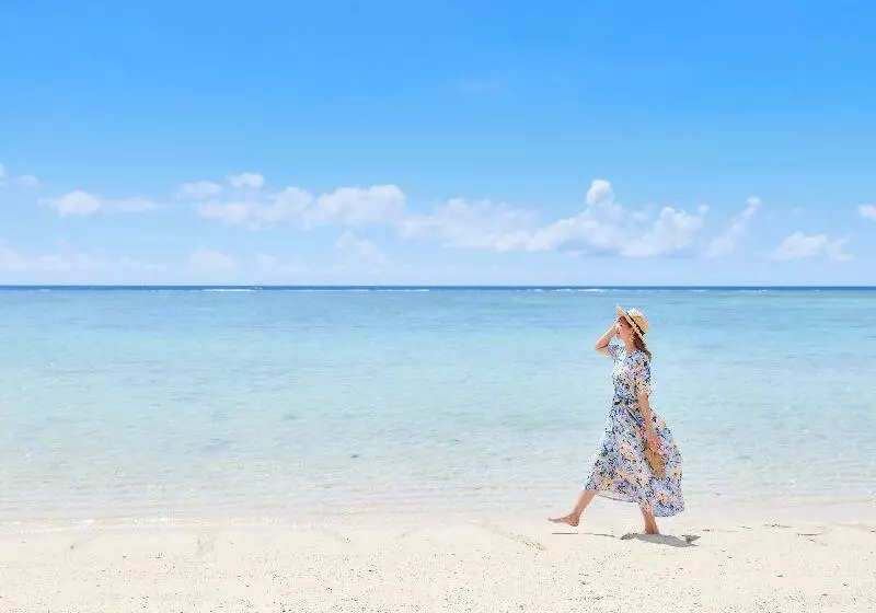 Fotos del hotel Nikko Alivila:  7