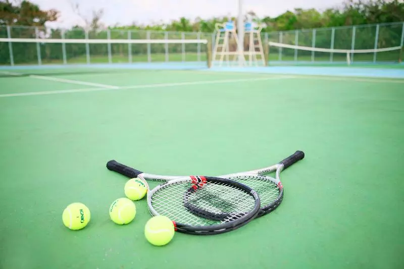 Fotos del hotel Nikko Alivila:  3