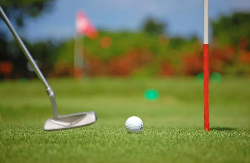 Fotos del hotel Nikko Alivila:  10