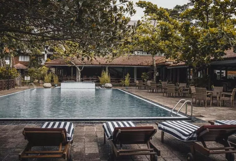 Fotos del hotel Tree Of Life Nature Resort:  2