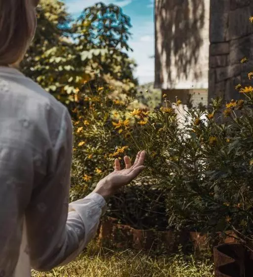 Fotos del hotel Tree Of Life Nature Resort:  15