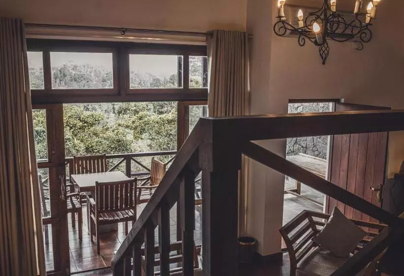 Fotos del hotel Tree Of Life Nature Resort:  5