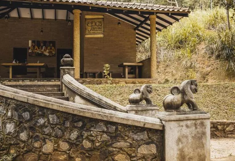 Fotos del hotel Tree Of Life Nature Resort:  17