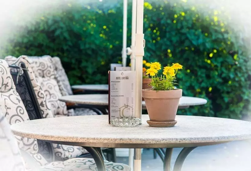 Fotos del hotel Club Hotel Cortina:  9