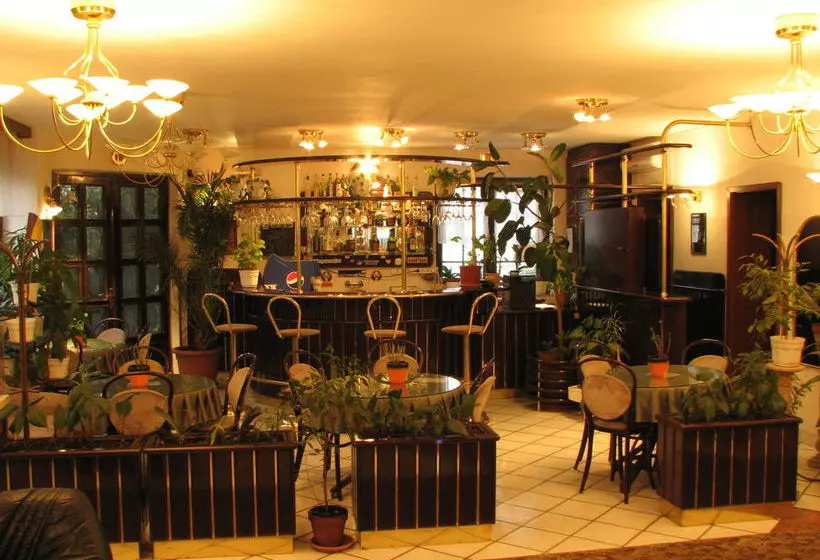 Fotos del hotel Lucky:  15