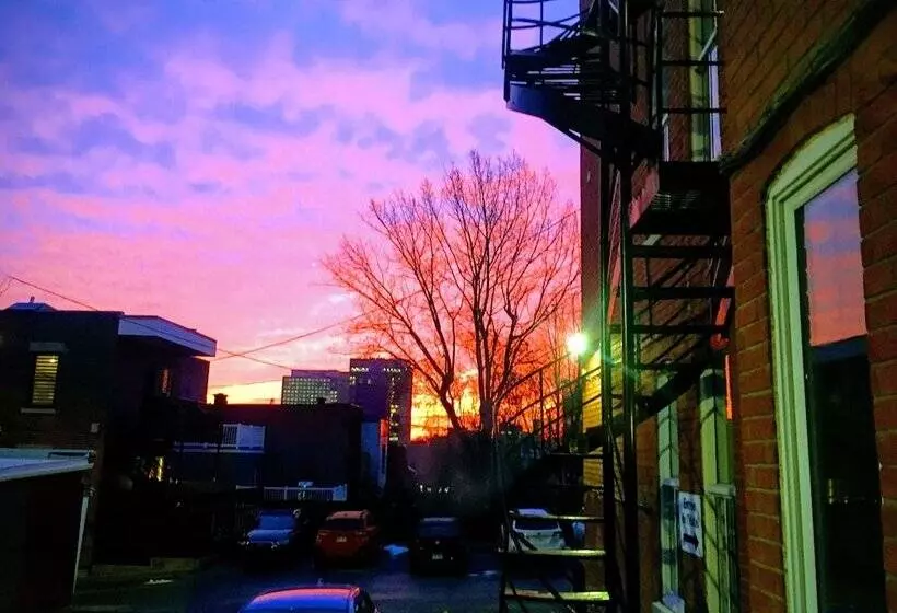 Fotos del hotel Chateau De L'argoat:  4