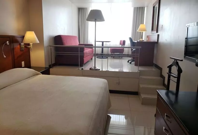 Fotos del hotel Fortin Plaza:  17