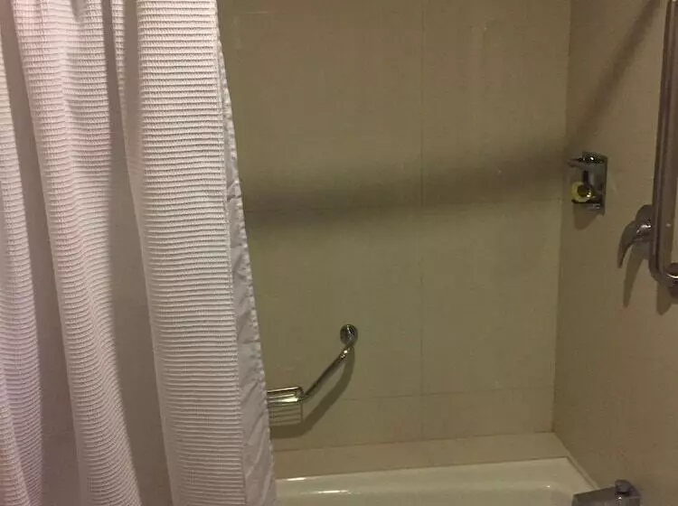 Fotos del hotel Fortin Plaza:  7