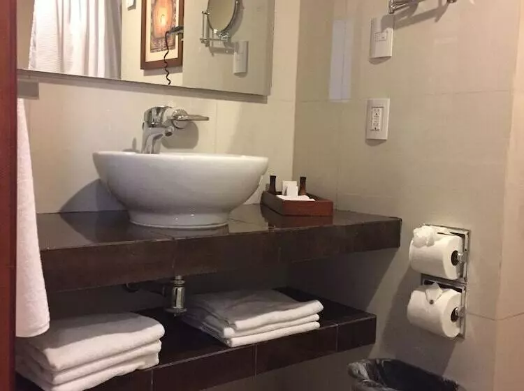 Fotos del hotel Fortin Plaza:  20