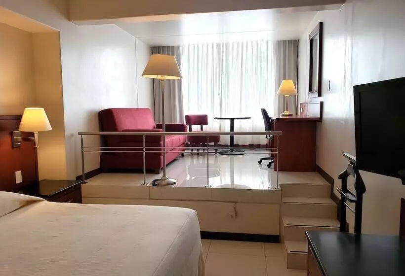 Fotos del hotel Fortin Plaza:  2