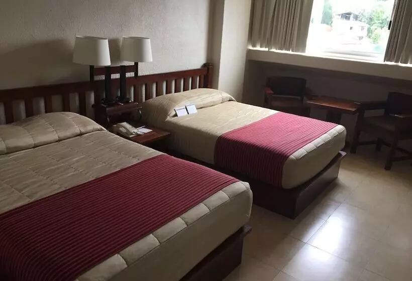 Fotos del hotel Fortin Plaza:  49