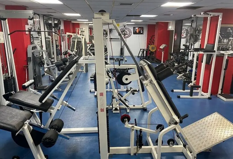 Fotos del hotel Navarria:  5