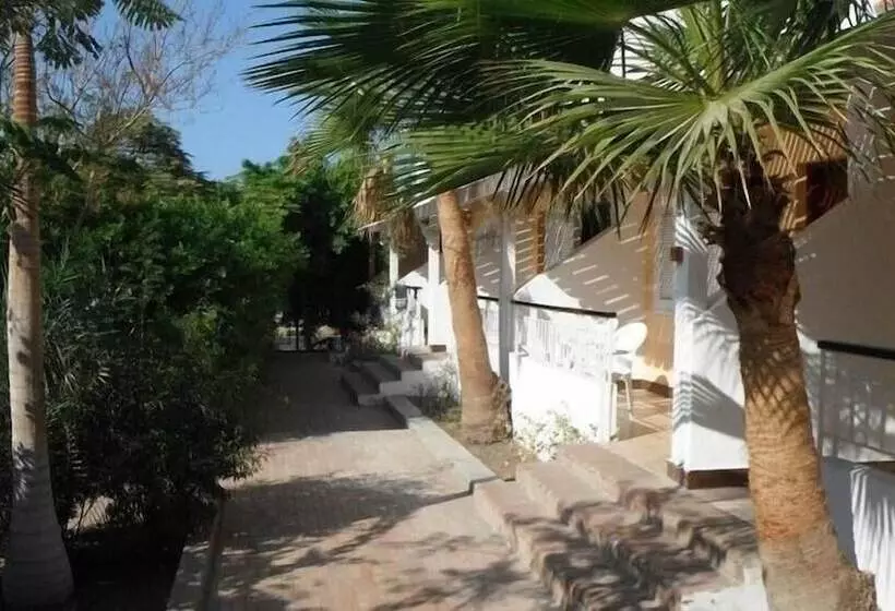 Fotos del hotel Sea Horse Hotel:  15