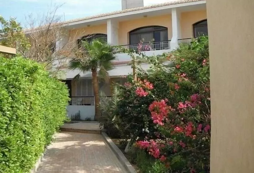 Fotos del hotel Sea Horse Hotel:  12