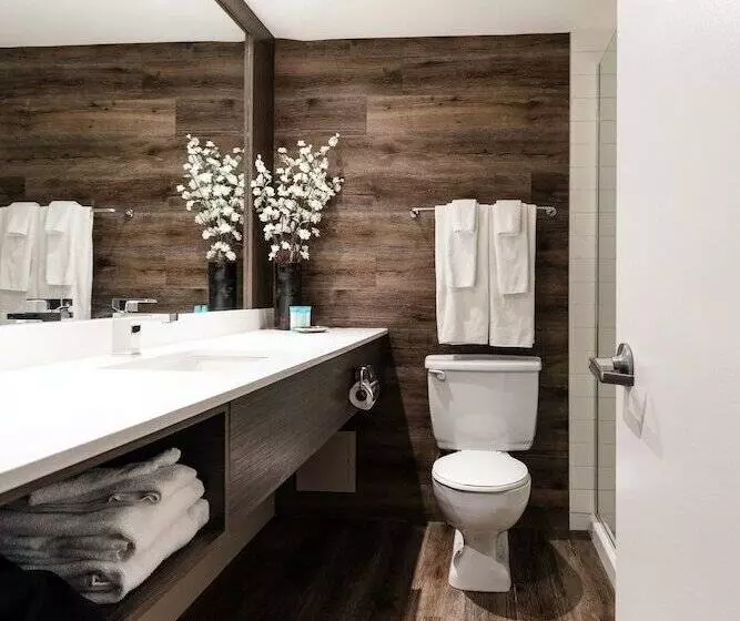 Fotos del hotel Welcominns Ottawa:  18