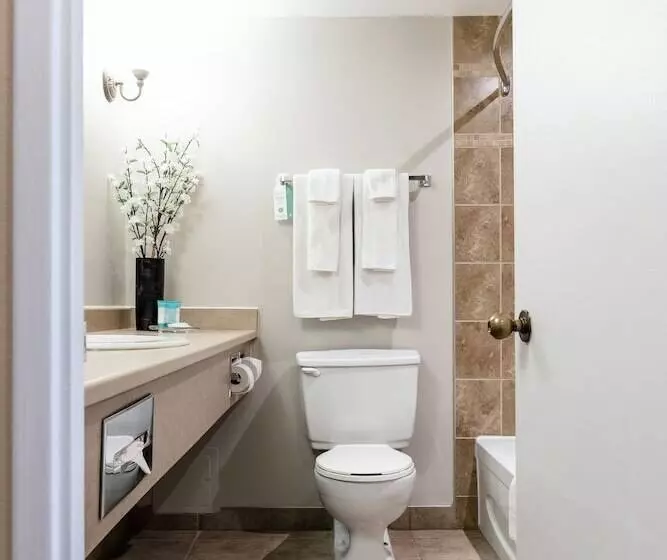 Fotos del hotel Welcominns Ottawa:  24