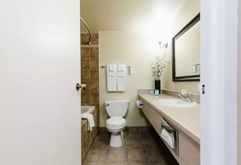 Fotos del hotel Welcominns Ottawa:  21