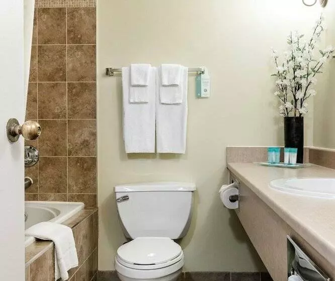 Fotos del hotel Welcominns Ottawa:  13