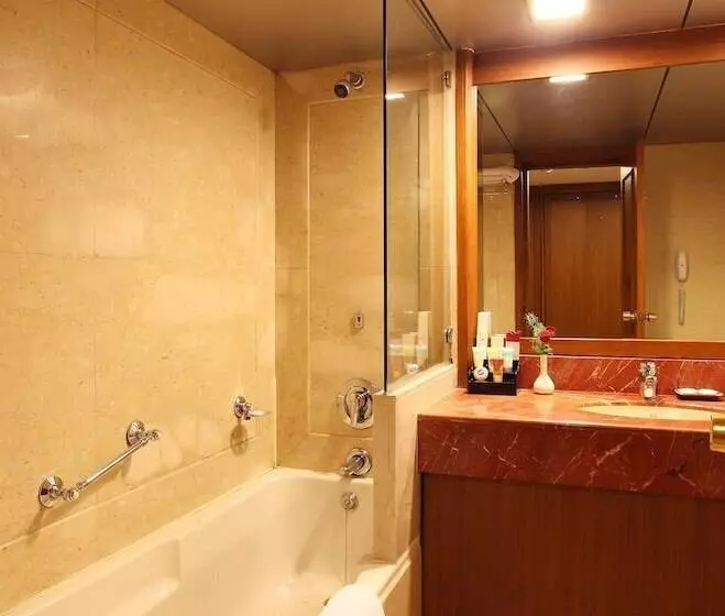 Fotos del hotel Aurora Towers:  8