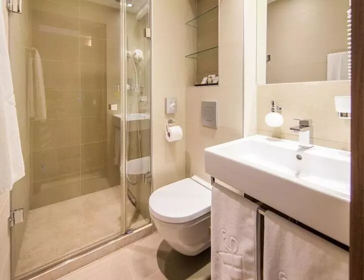 Fotos del hotel Boutique Hotel Victoria Budapest:  19