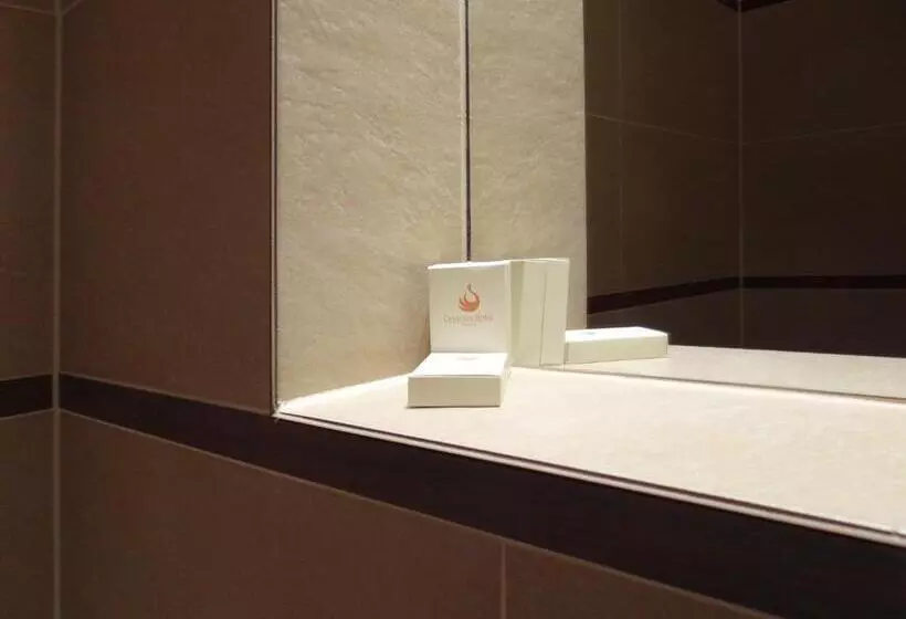 Fotos del hotel Centrum:  4