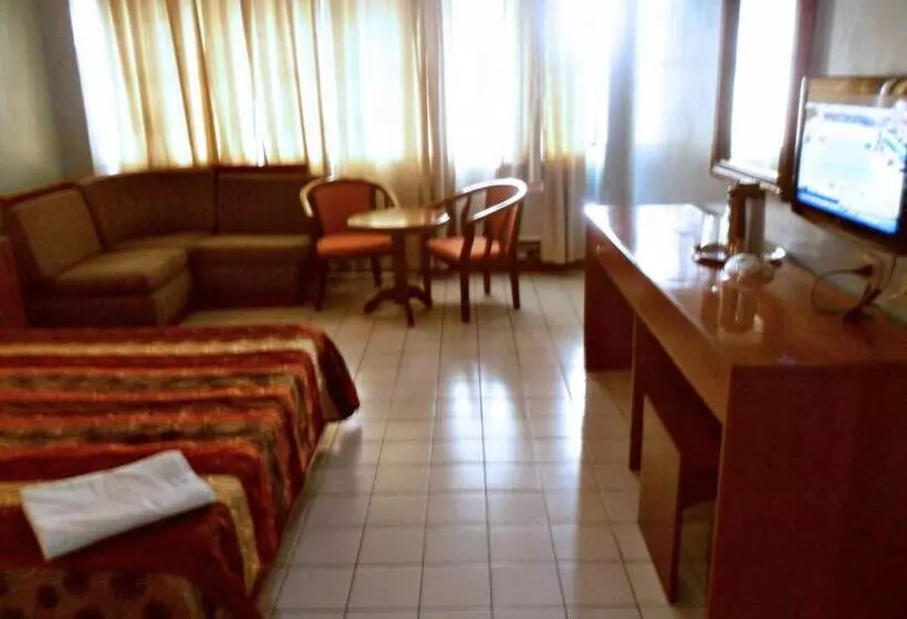 Fotos del hotel Hotel Soriente:  25