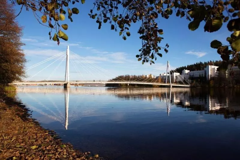 Fotos del hotel Finlandia Hotel Alba:  9