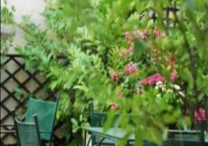 Fotos del hotel Hôtel France Eiffel:  7