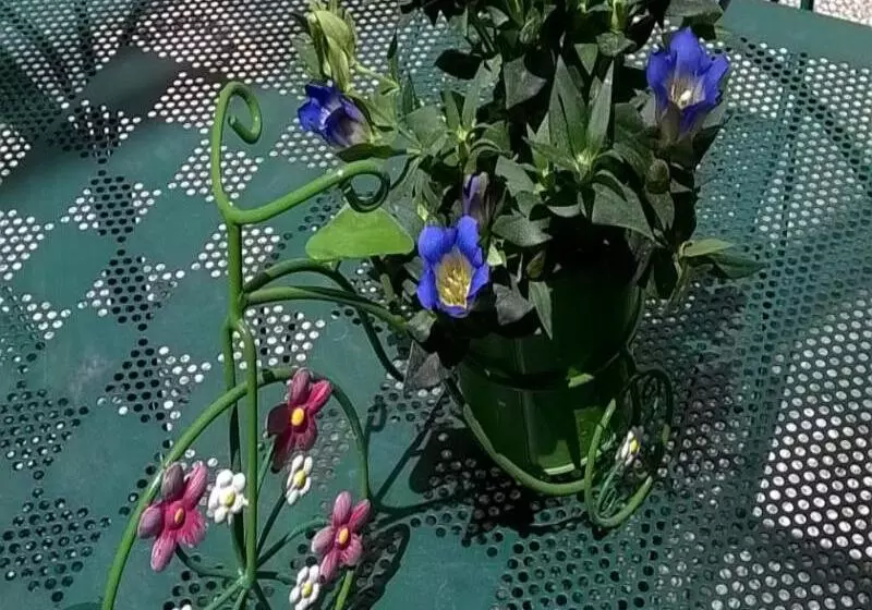 Fotos del hotel Hôtel France Eiffel:  4