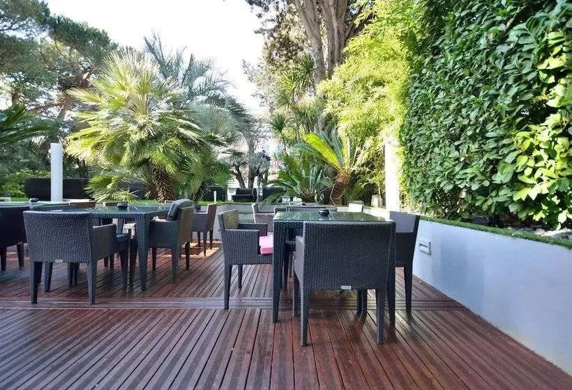 Fotos del hotel Cezanne:  7