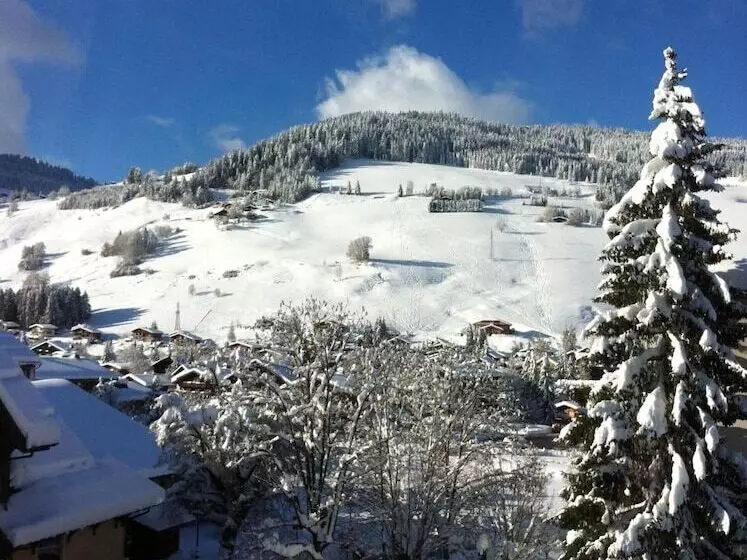 Fotos del hotel Hôtel La Grange D'arly:  11