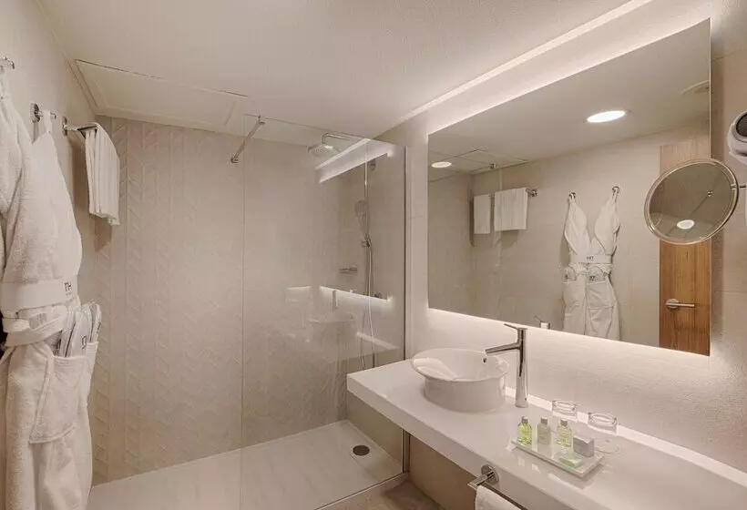 Fotos del hotel Nh Nice:  20