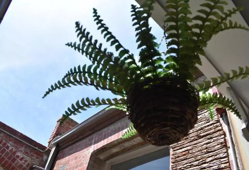 Fotos del hotel Ansonia On Lydiard:  13