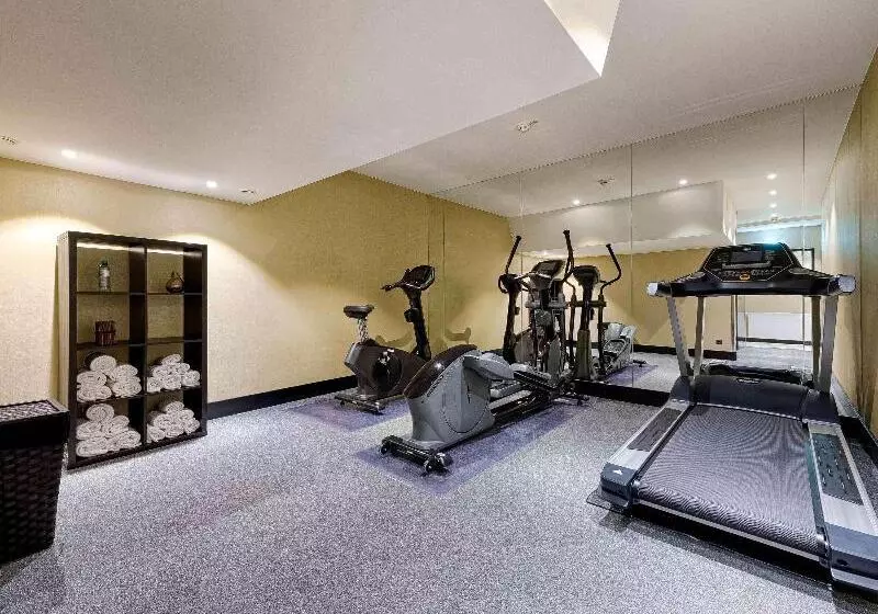 Fotos del hotel Mercure Hotel Raphael Wien:  3