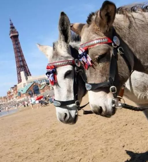 Fotos del hotel The Savoy:  6