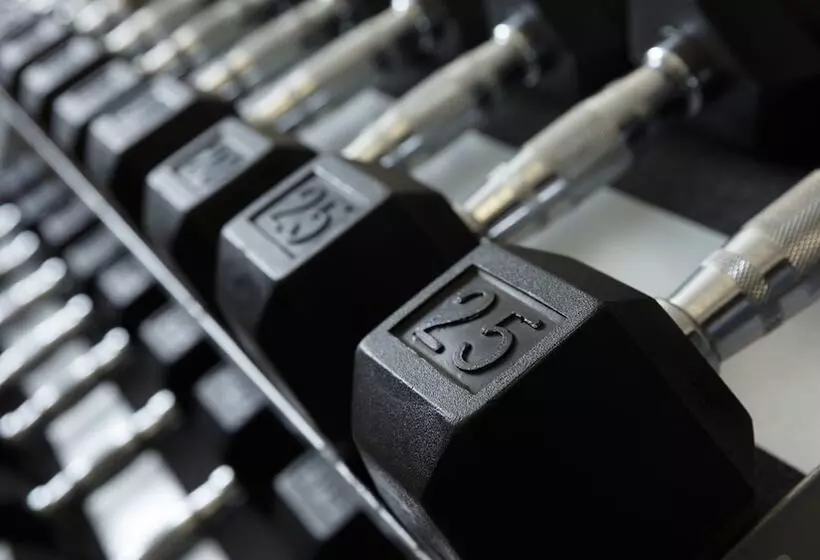 Fotos del hotel Holiday Inn Express Quebec City-sainte Foy, An Ihg:  14