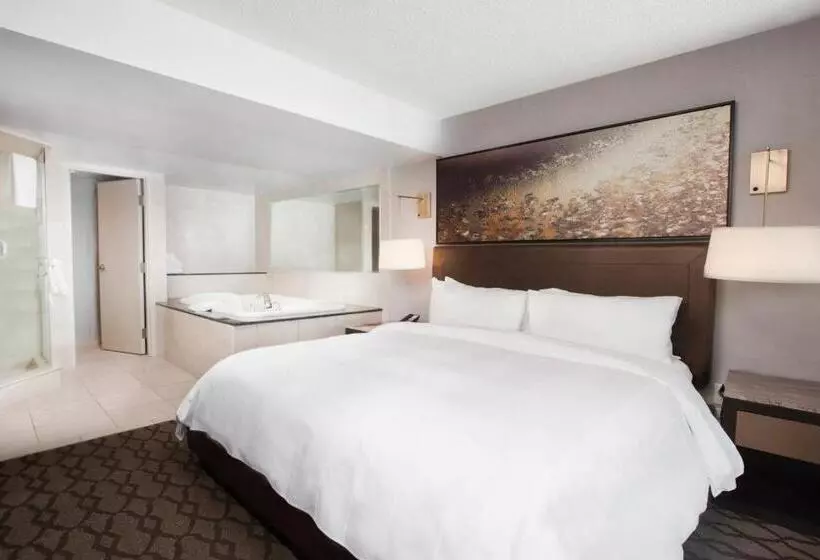 Fotos del hotel Niagara Falls Marriott Fallsview Hotel & Spa:  15